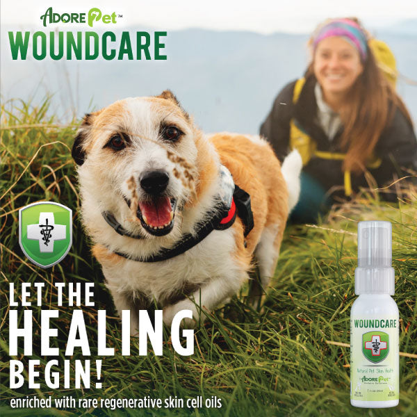 Wound Care