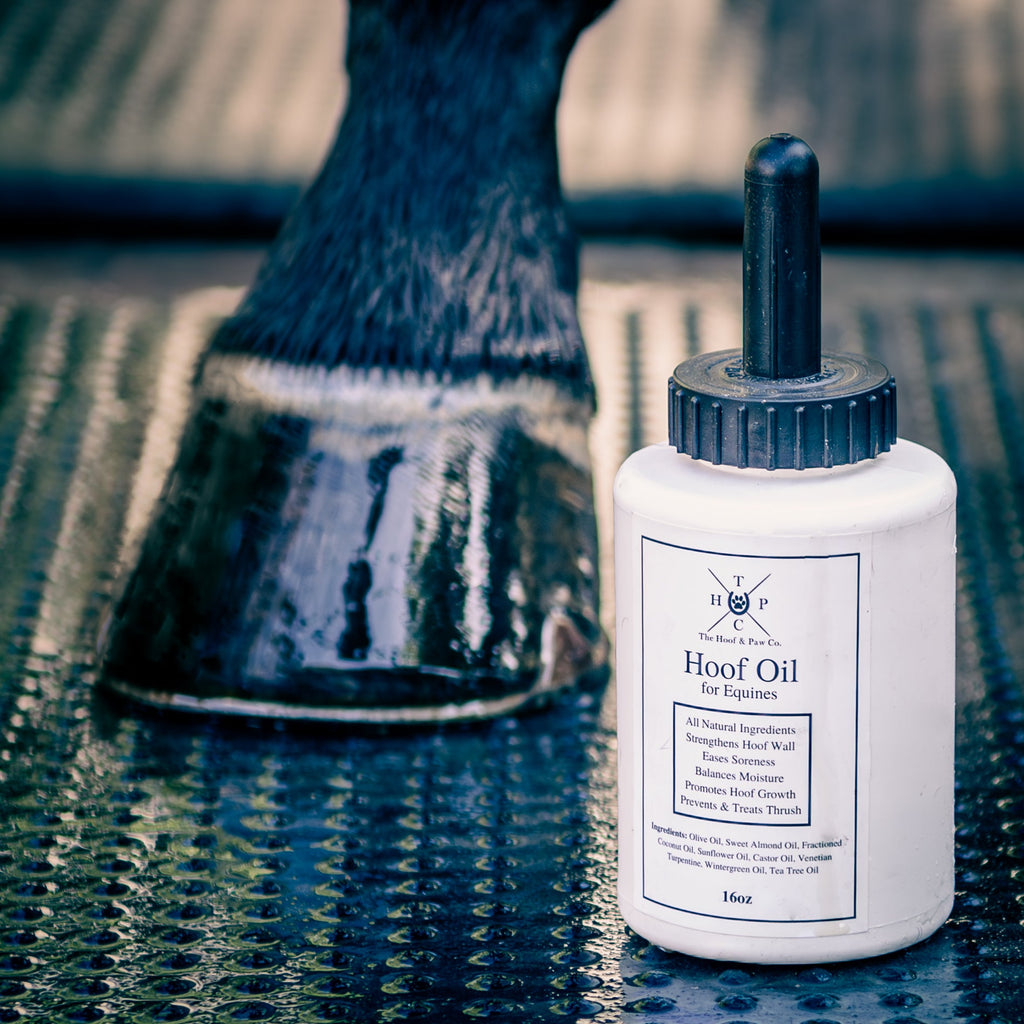 Hoof Oil for Horses