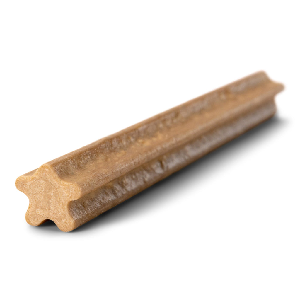 Natural Dental Sticks Large