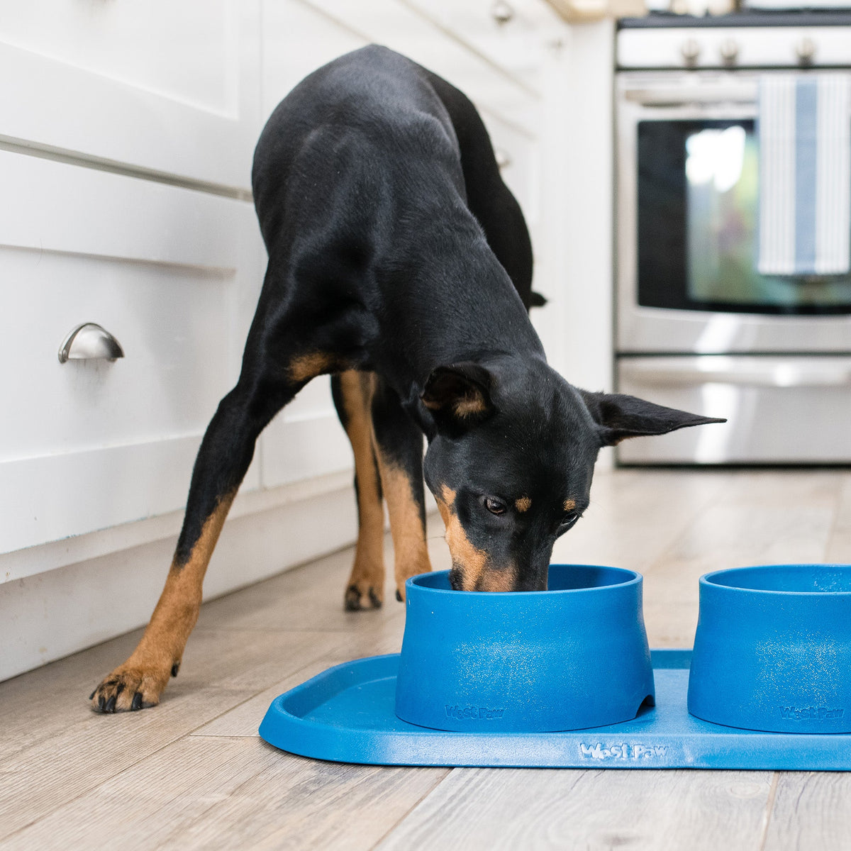 Non-Slip Placemat