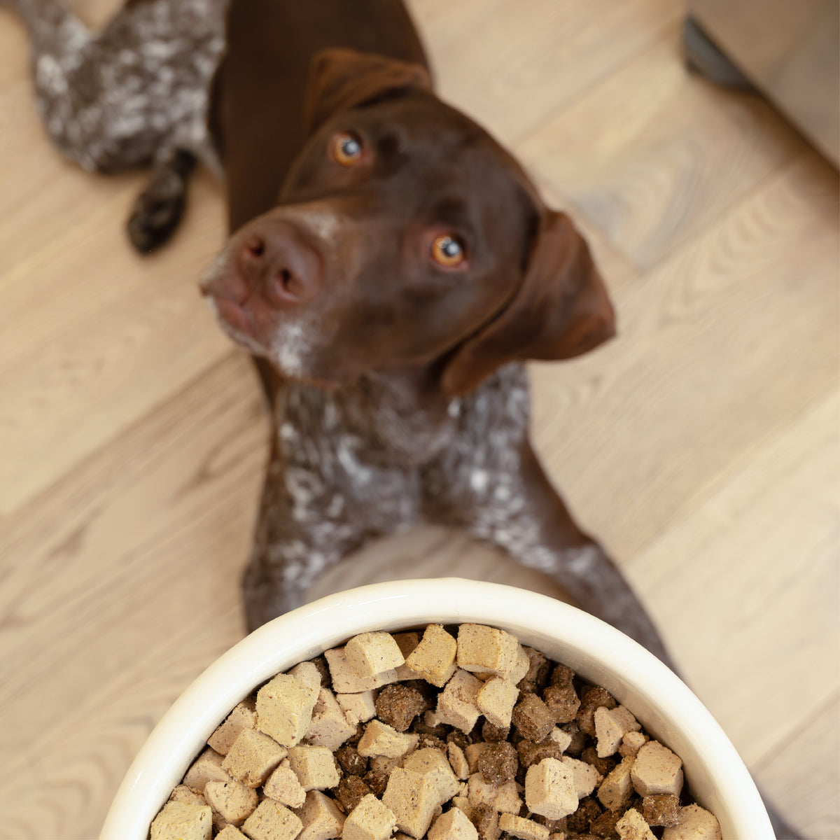 Chicken Dog Food Topper
