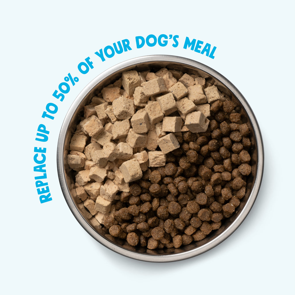 Beef Dog Food Topper
